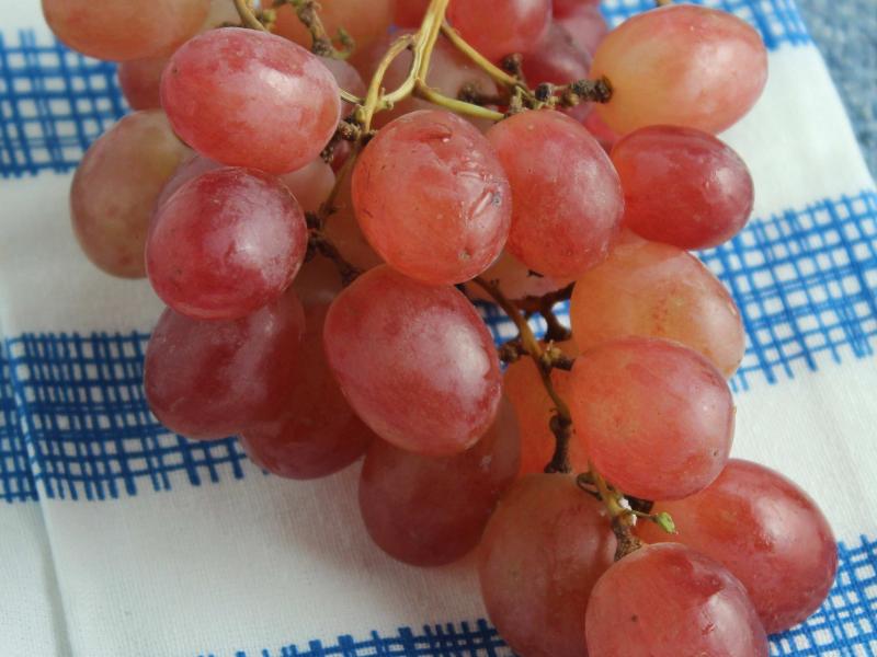 grapes