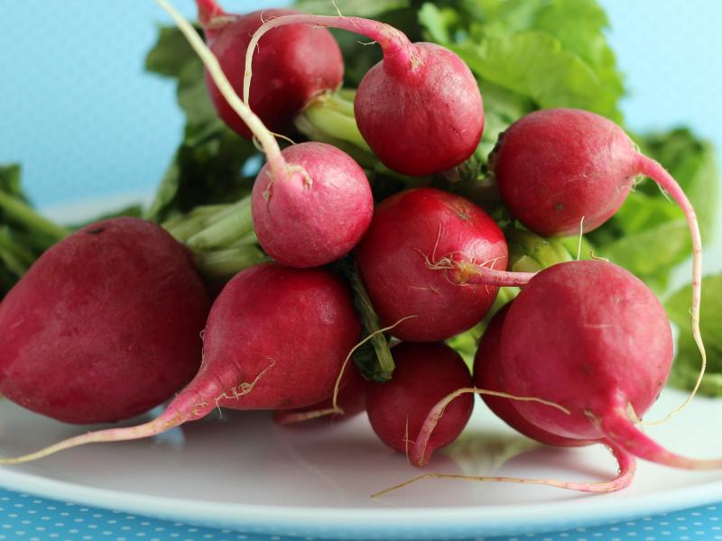 Radishes