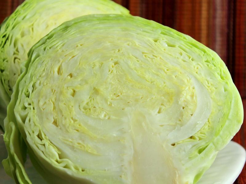 cabbage