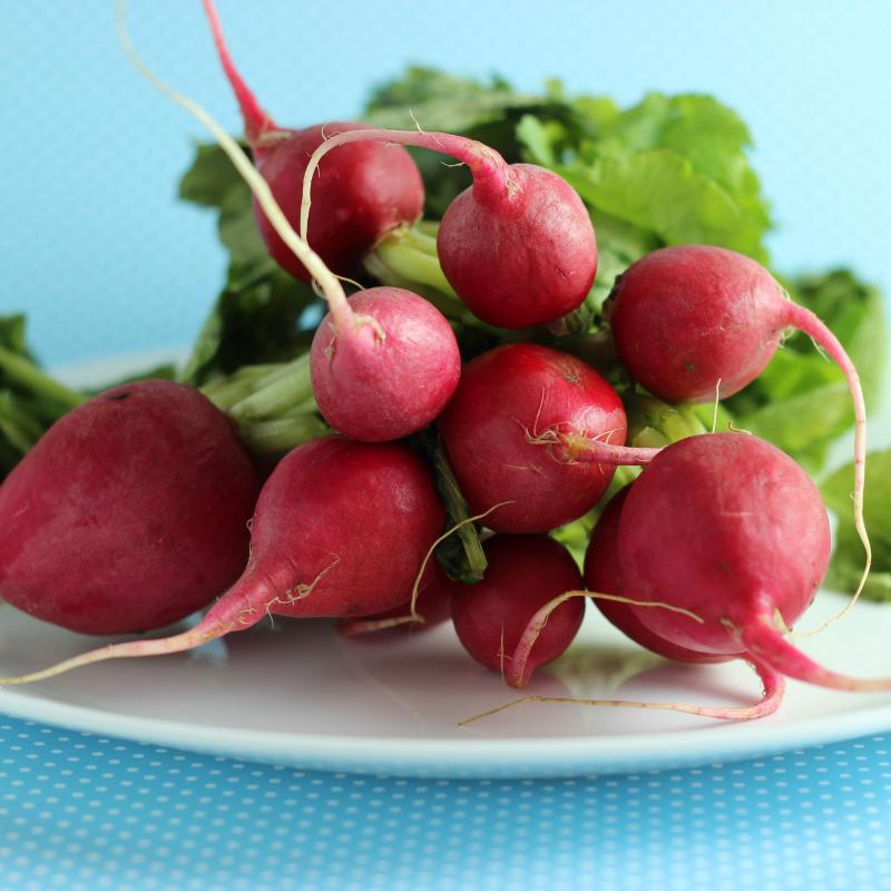 Radishes